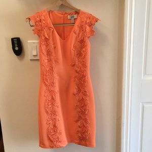 Belle Badgley Mischka Dress